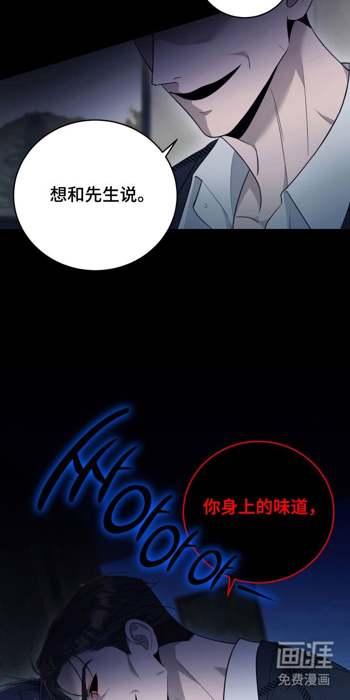 第65章：【番外】诱饵