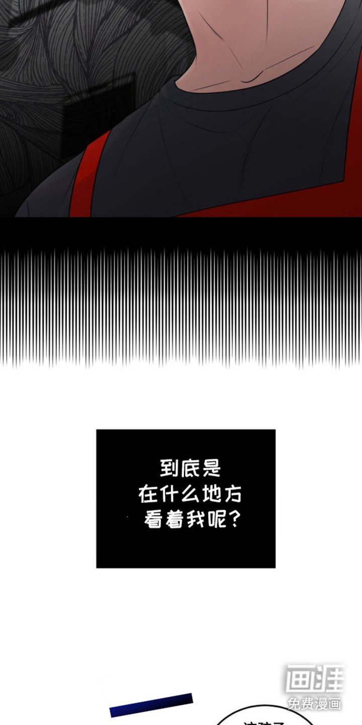 第11章：信息