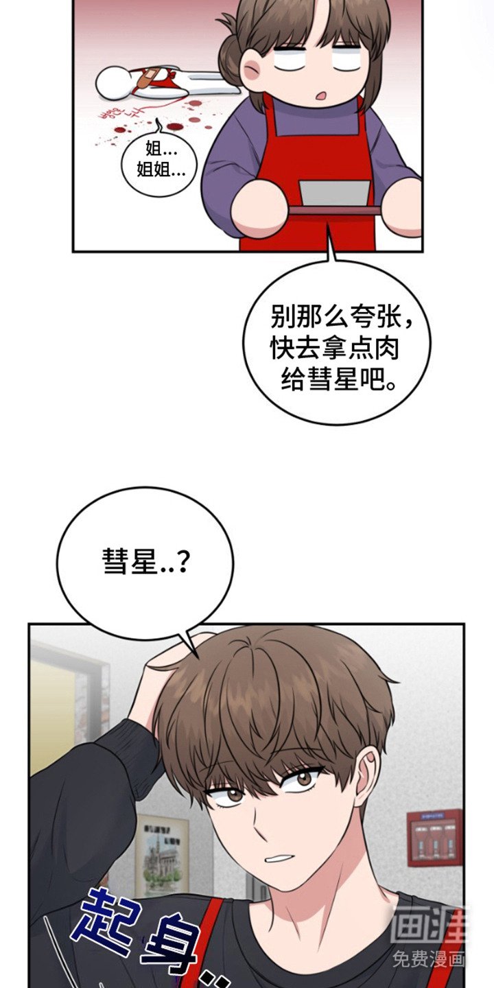 第11章：信息