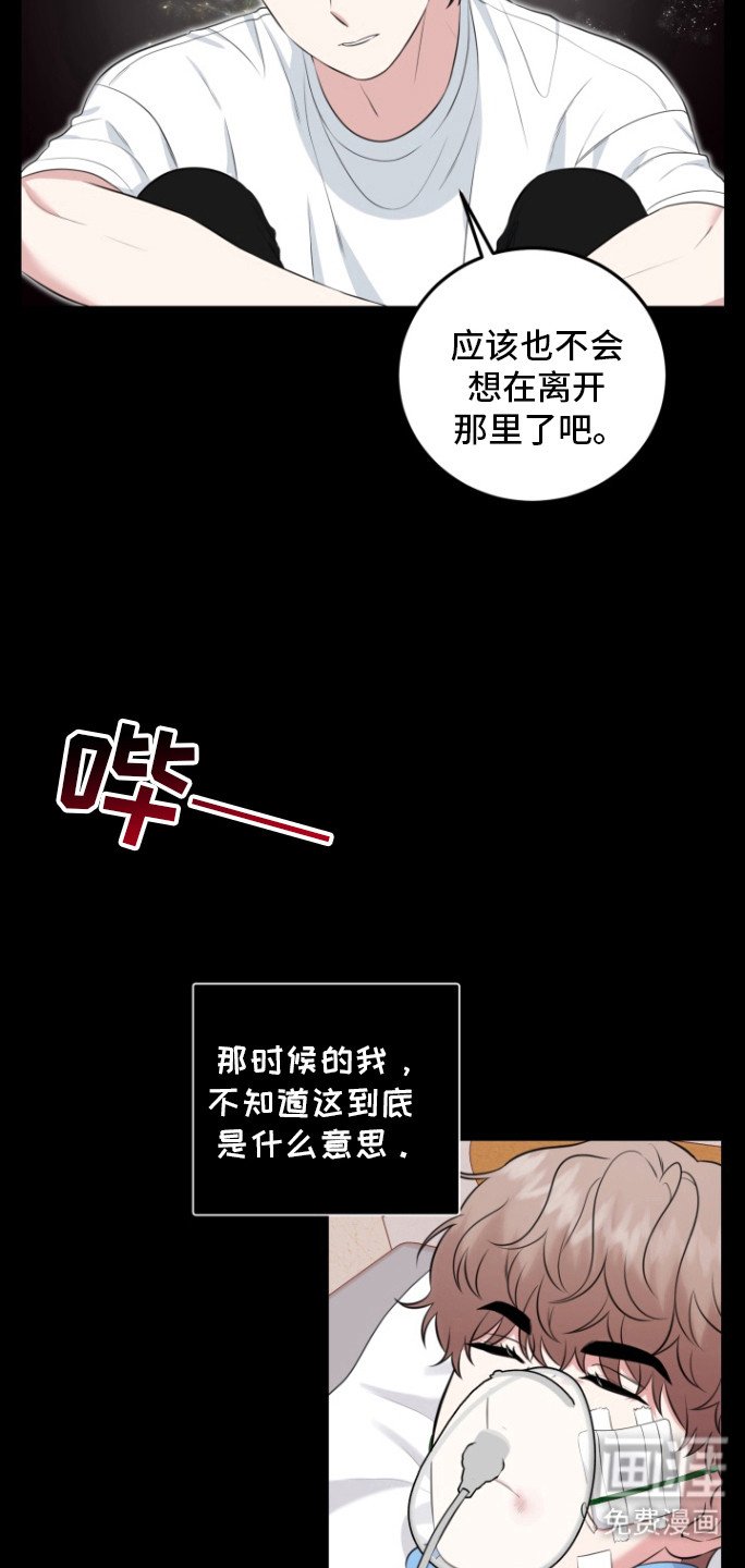 第28章：我喜欢你