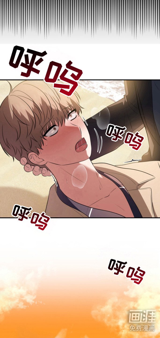 第30章：我的愿望