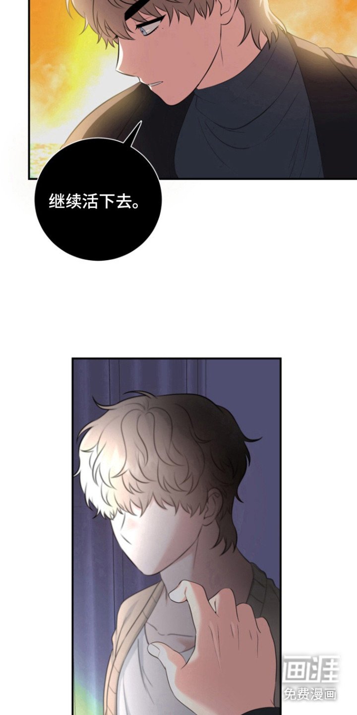 第31章：契约