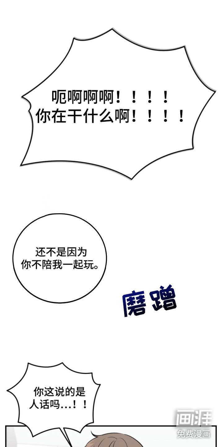 第37章：生日礼物
