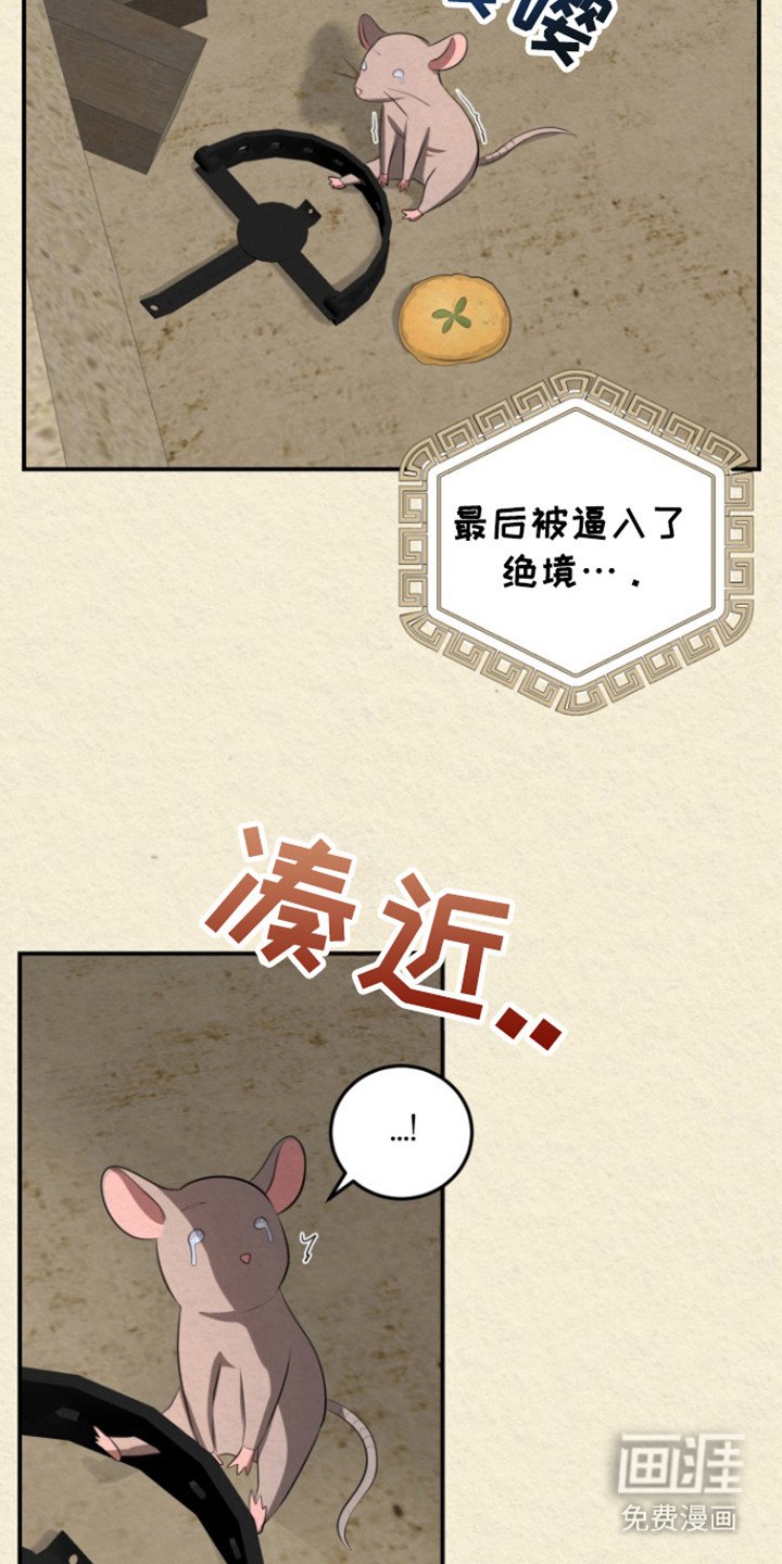 第43章：相遇