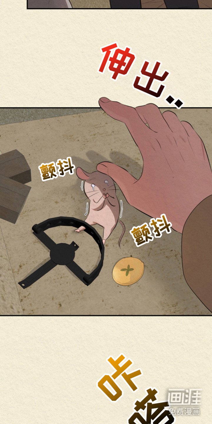 第43章：相遇