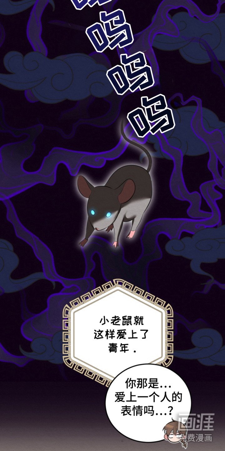第43章：相遇