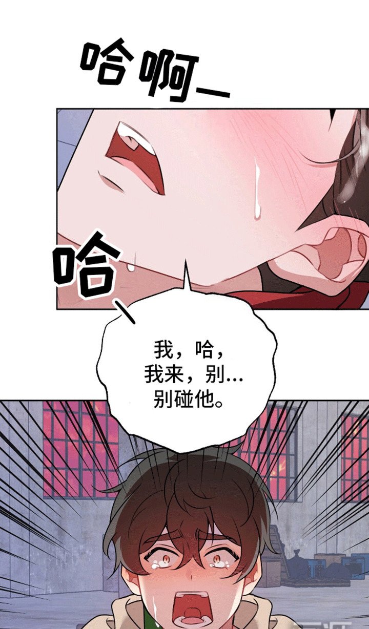 第1章：终于见到你了