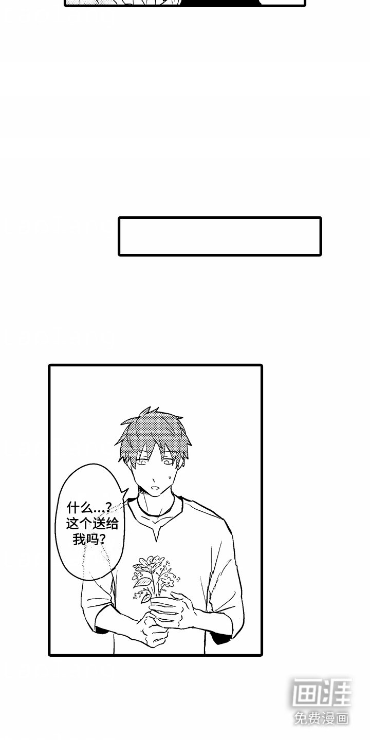 第11章：生日礼物