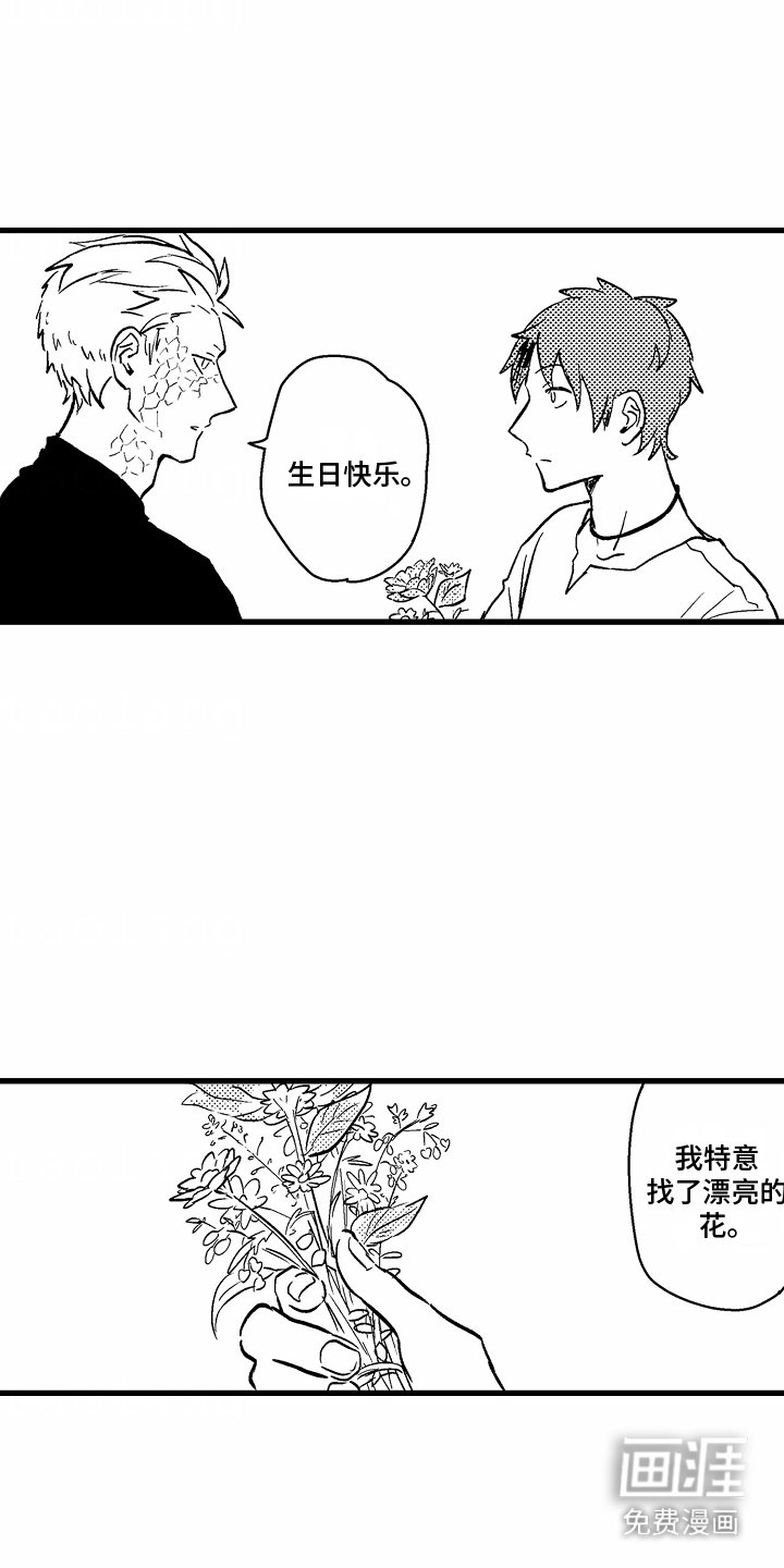 第11章：生日礼物