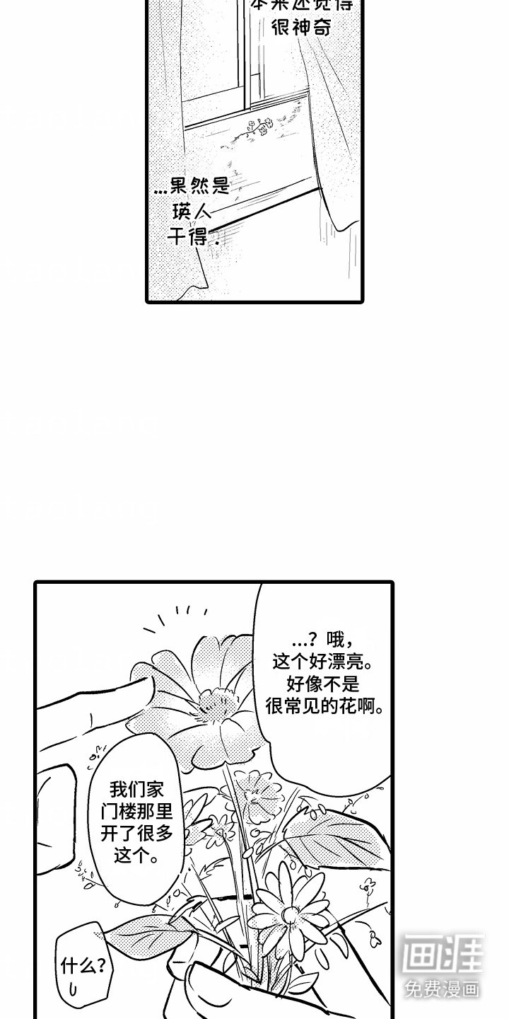 第11章：生日礼物