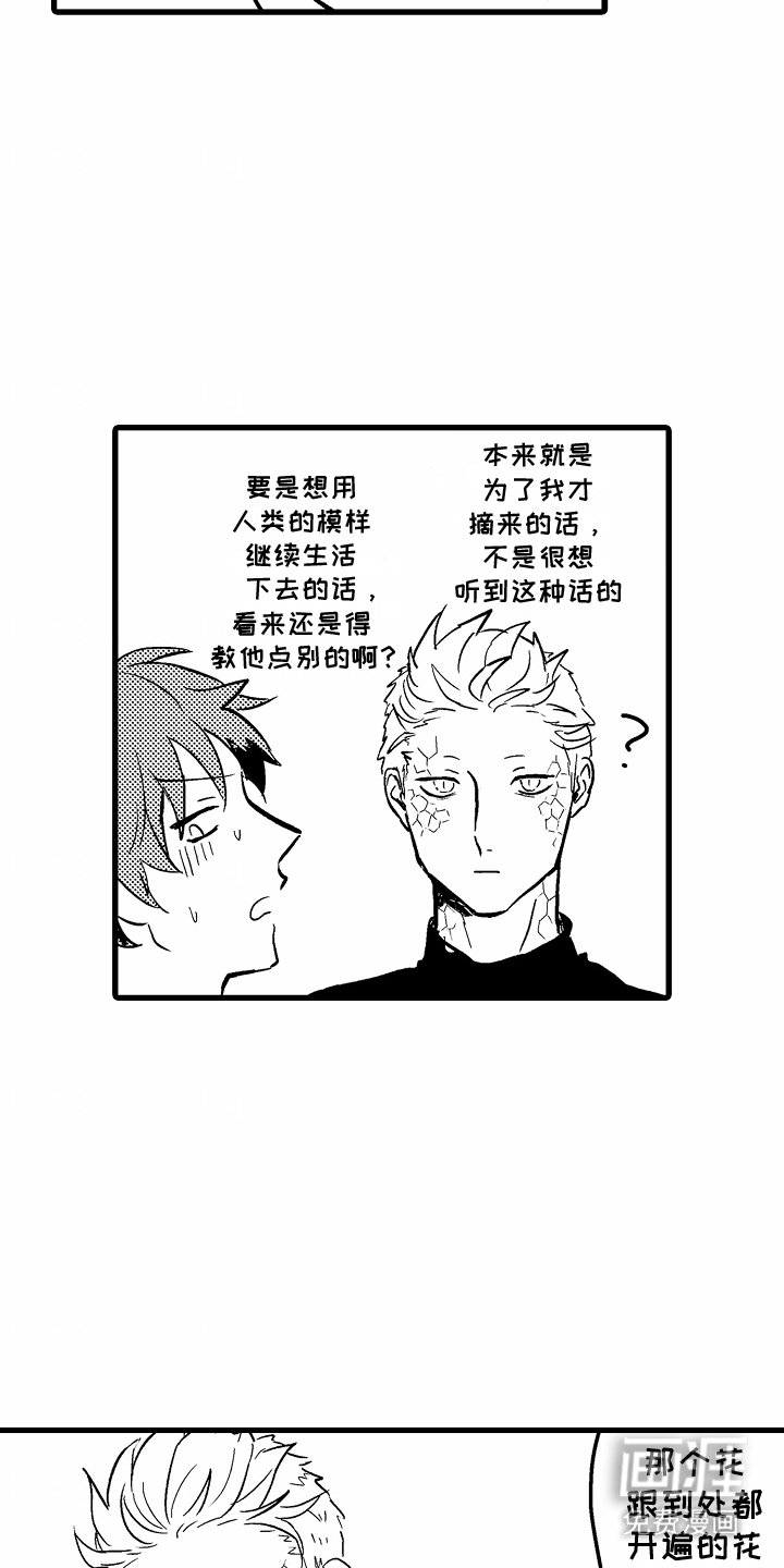 第11章：生日礼物
