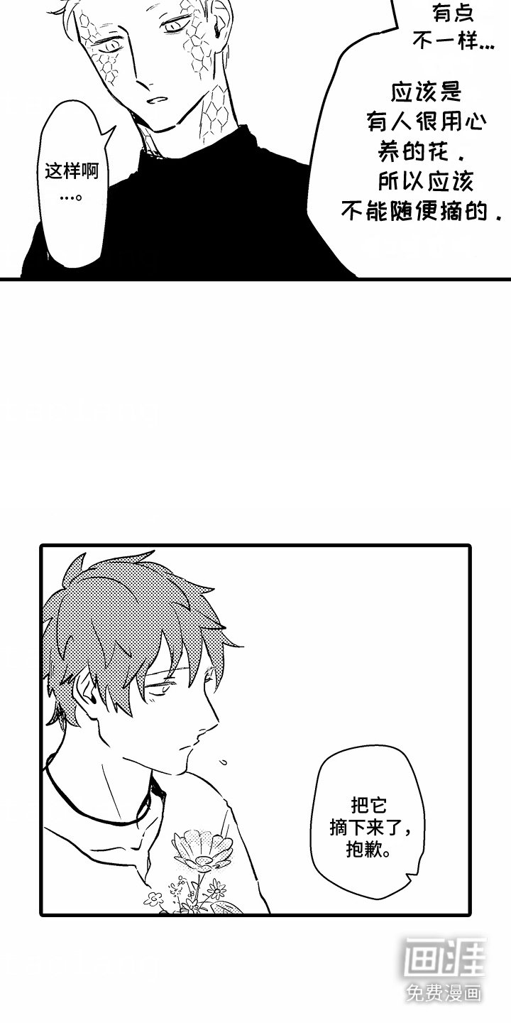 第11章：生日礼物