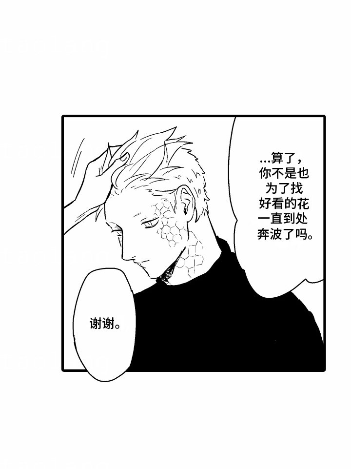 第11章：生日礼物