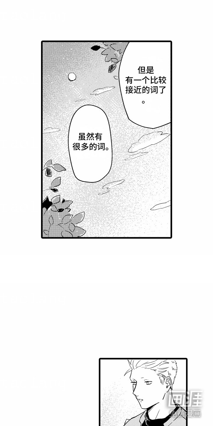 第14章：特别的词语