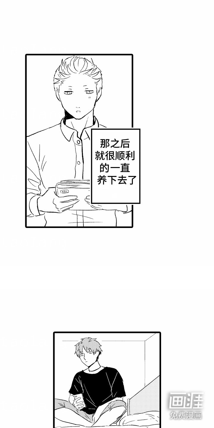 第2章：养花
