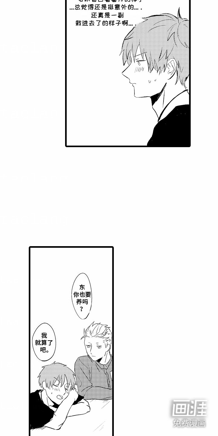 第2章：养花