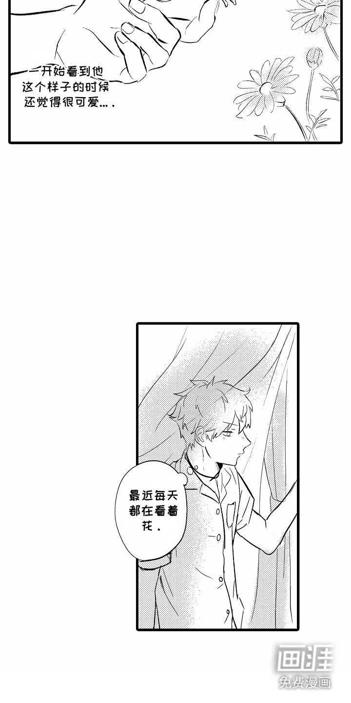 第2章：养花