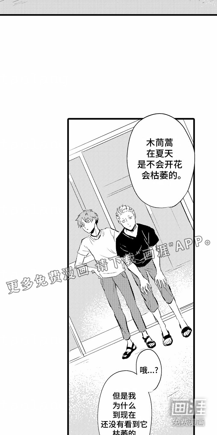 第3章：眼神
