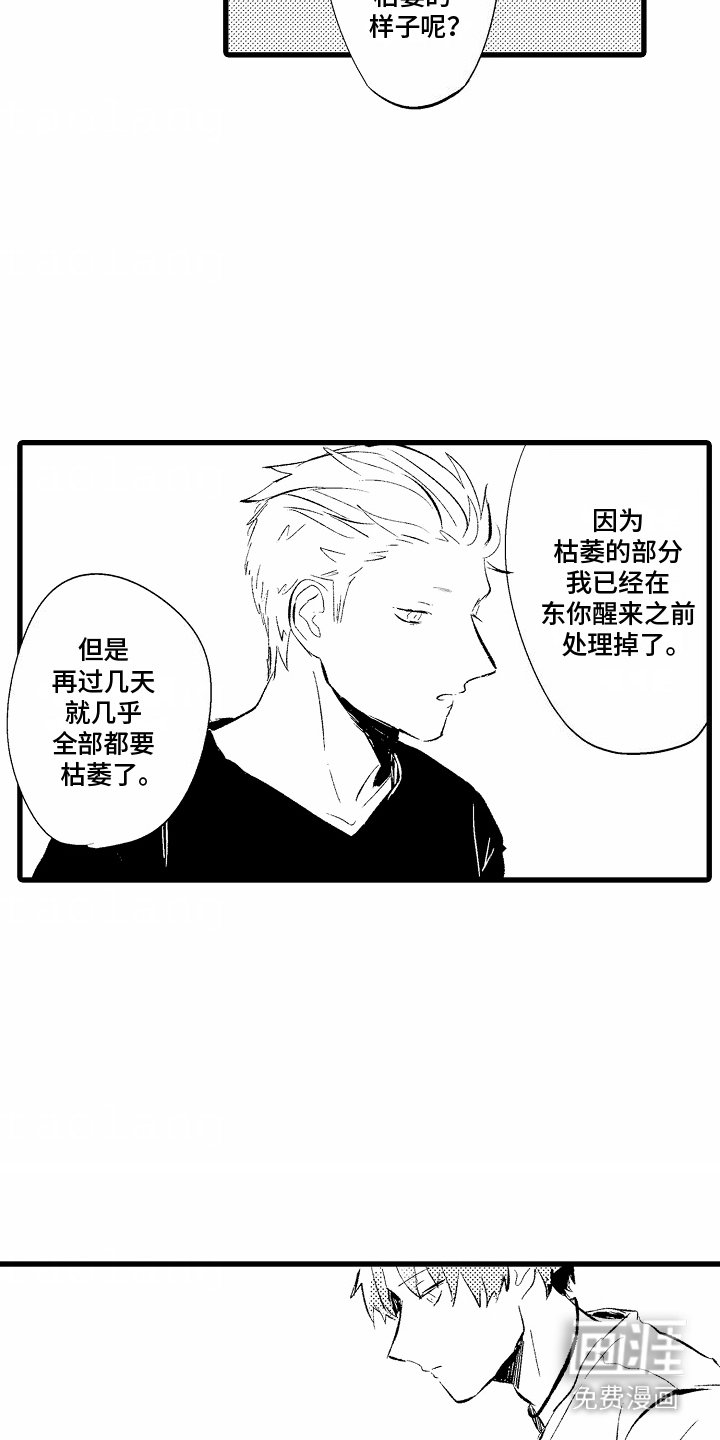 第3章：眼神