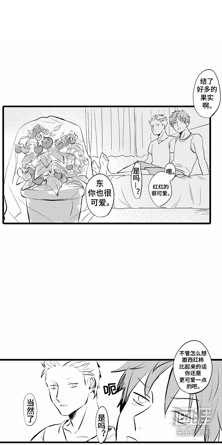 第6章：西红柿