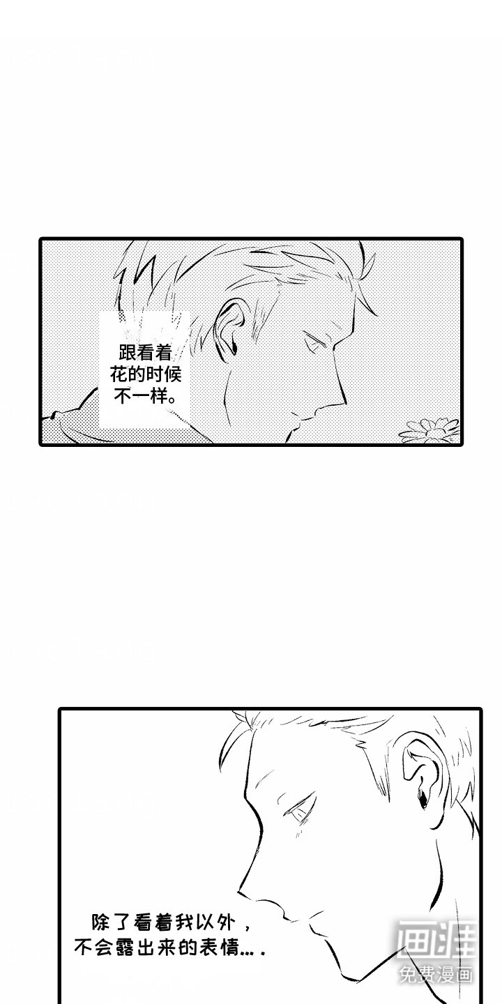 第6章：西红柿