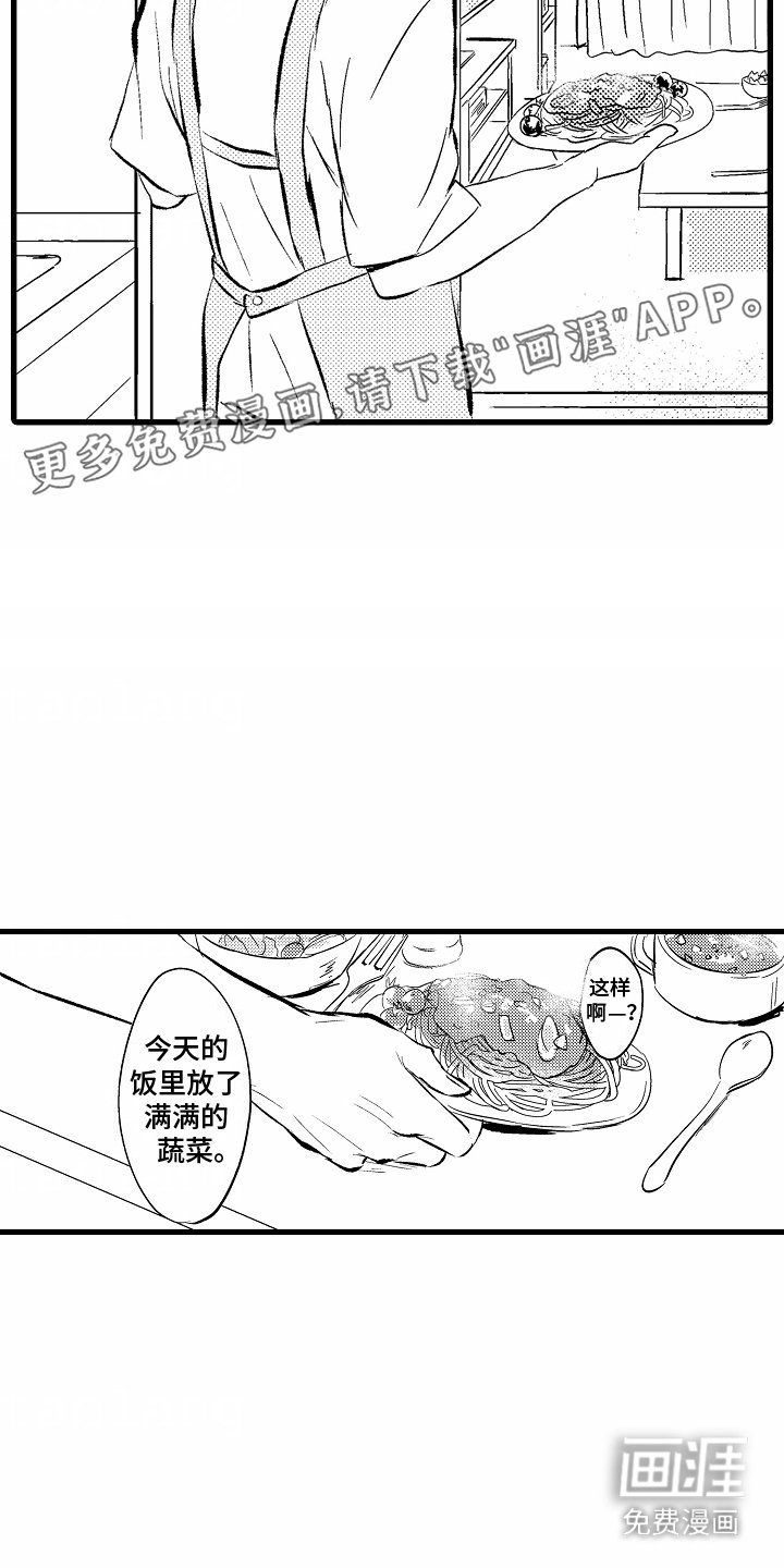 第6章：西红柿