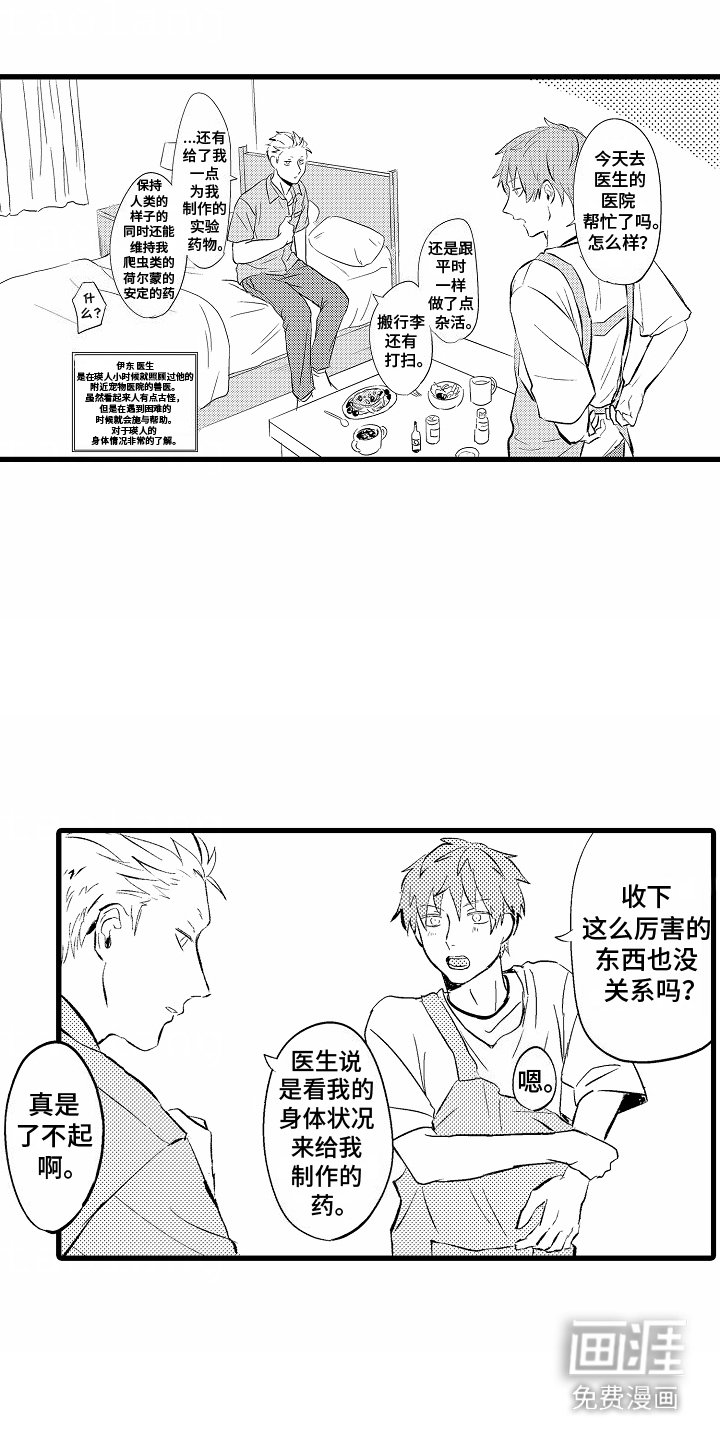 第6章：西红柿