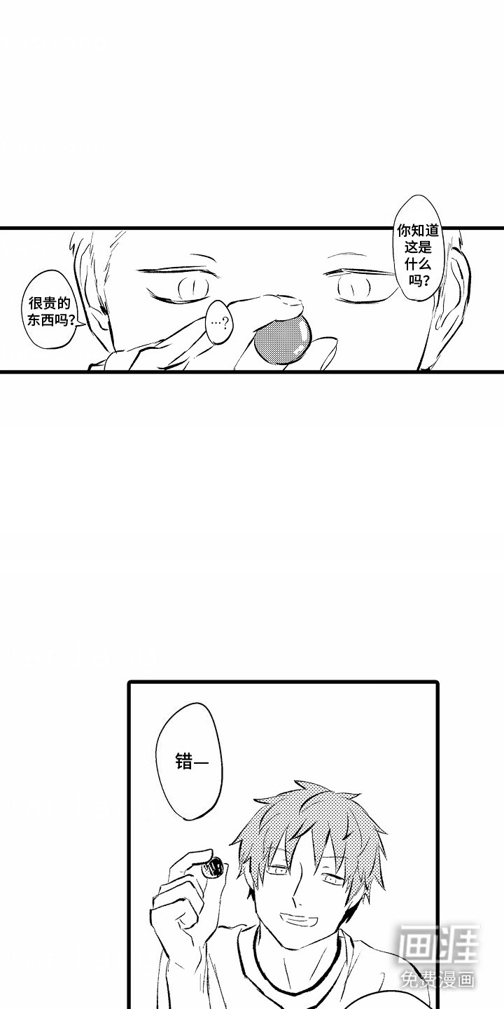 第6章：西红柿