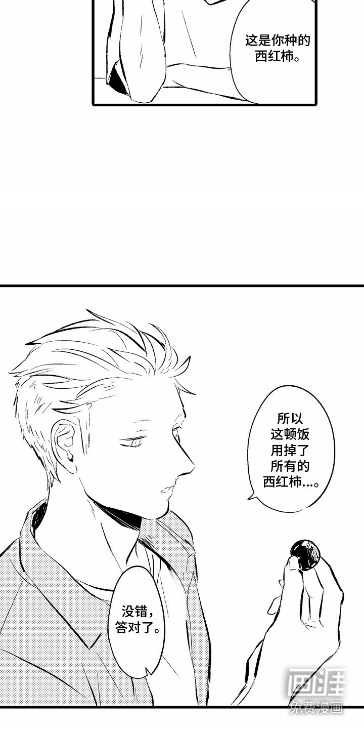 第6章：西红柿