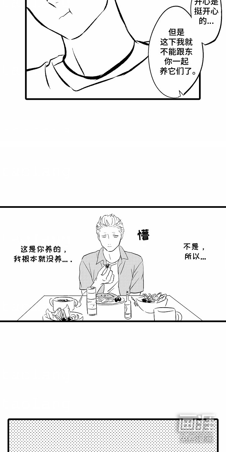第6章：西红柿