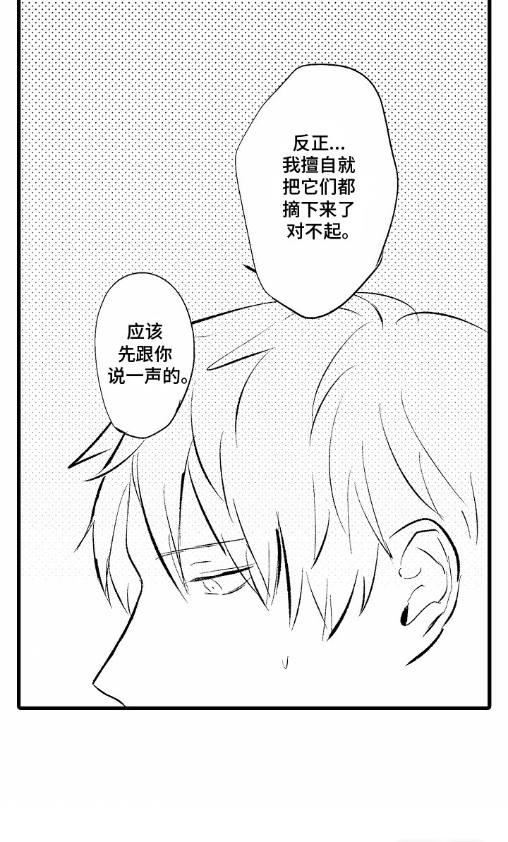 第6章：西红柿