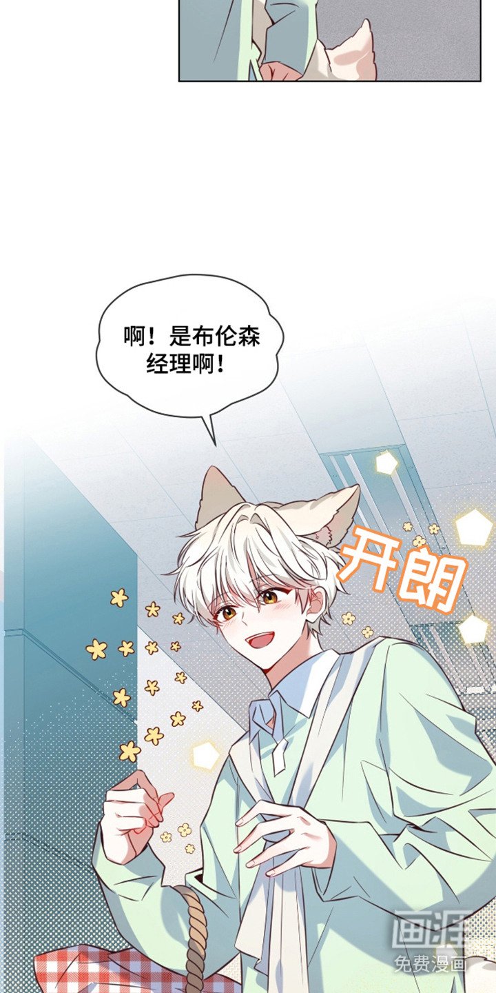 第1章：爱之饮料