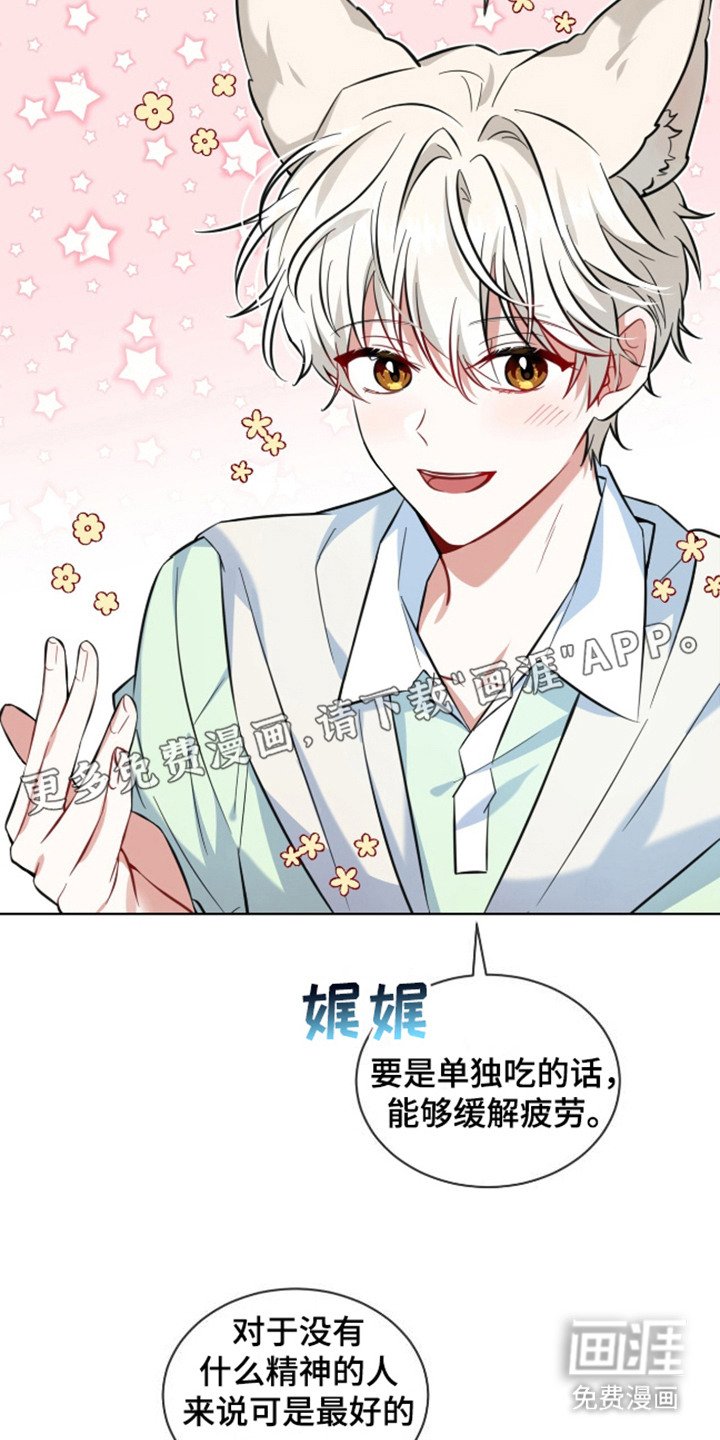 第1章：爱之饮料