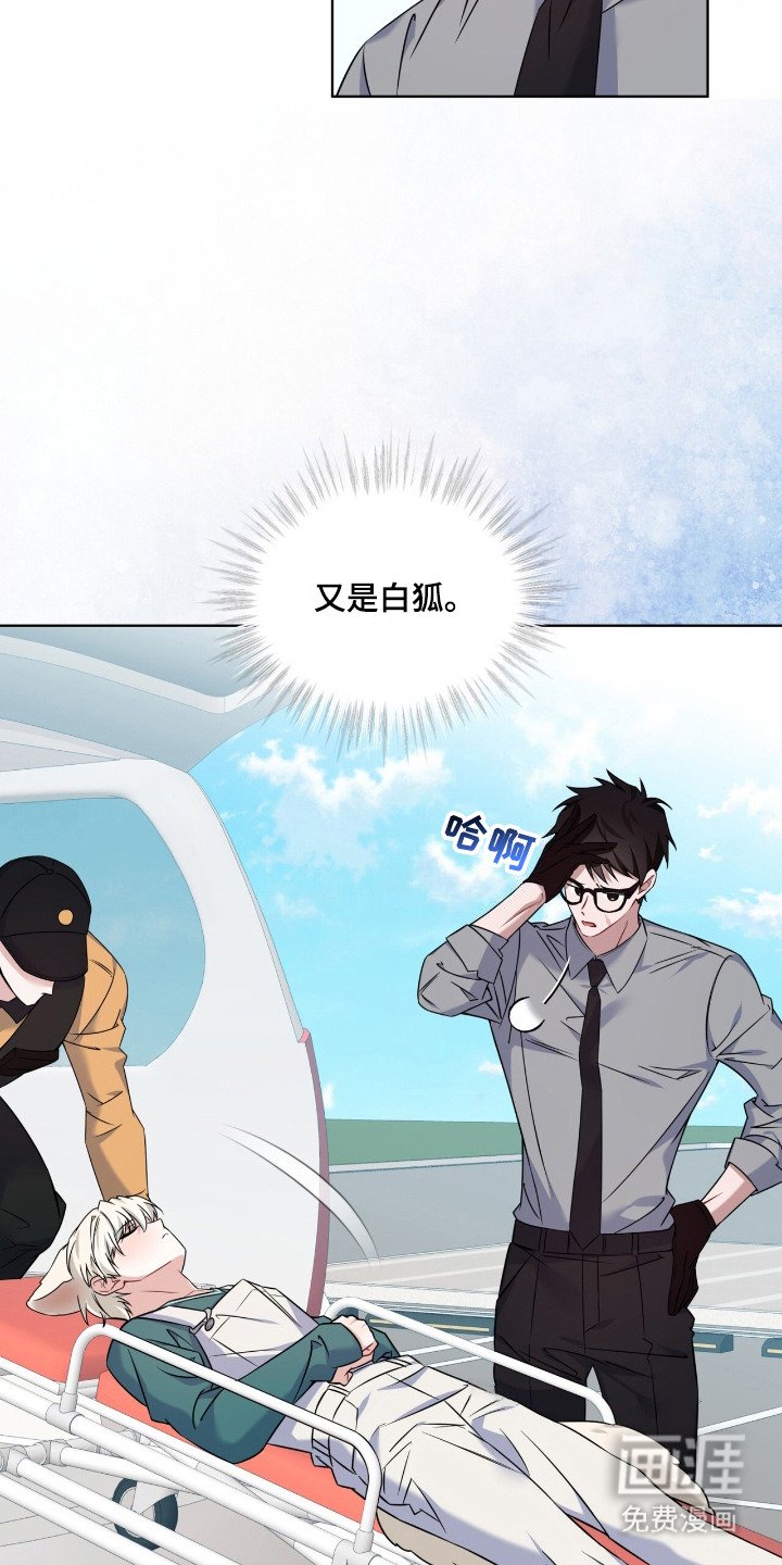 第11章：逃跑了