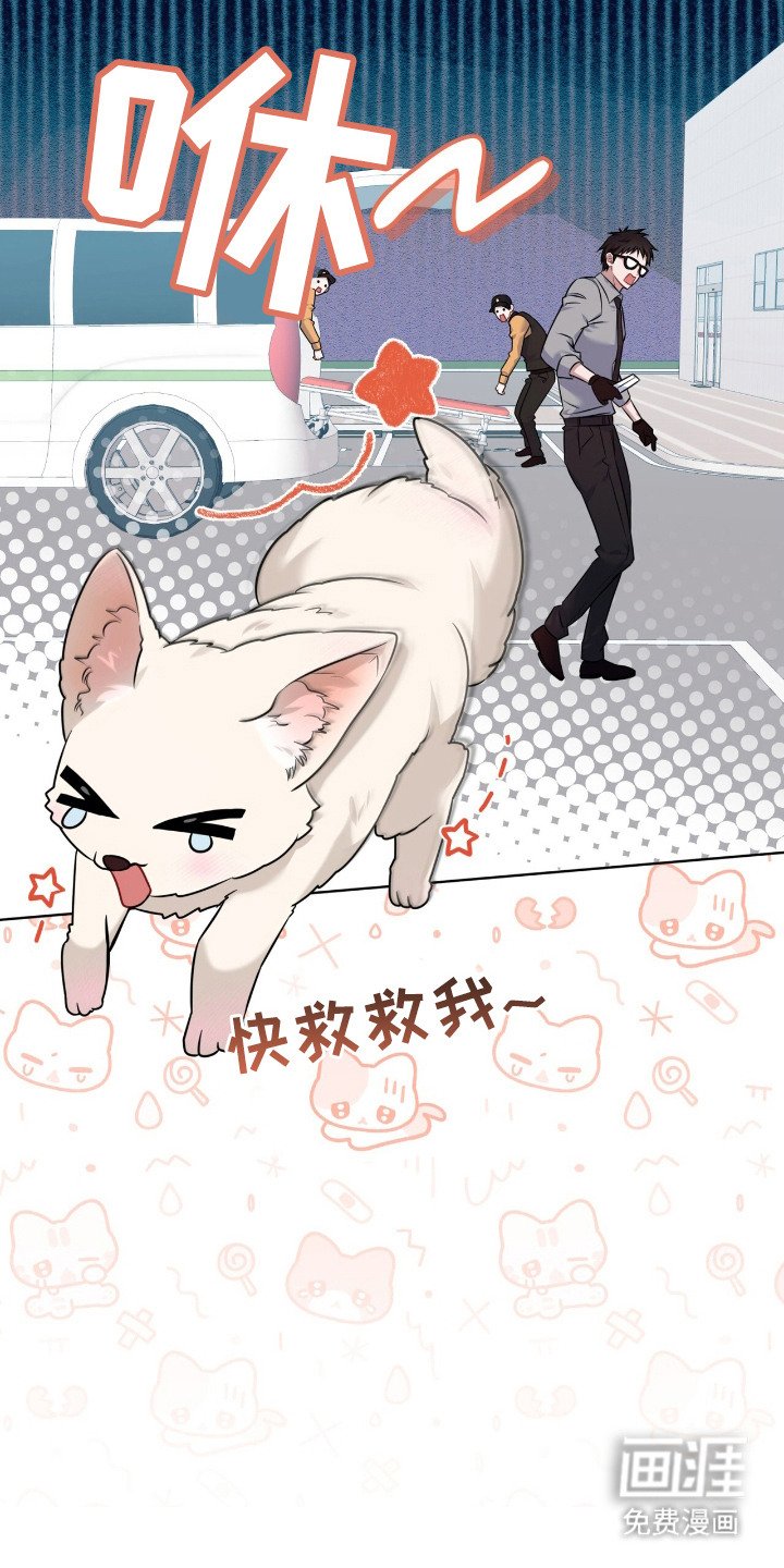 第11章：逃跑了