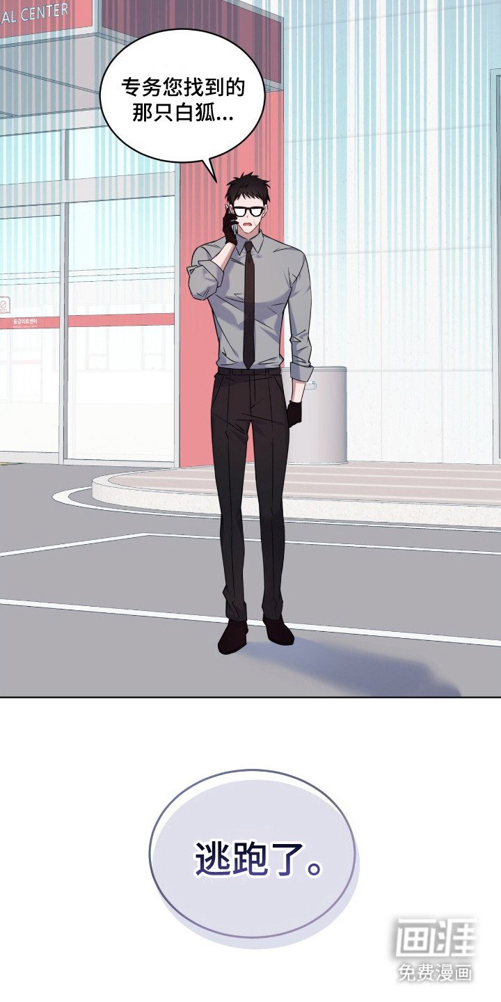 第11章：逃跑了