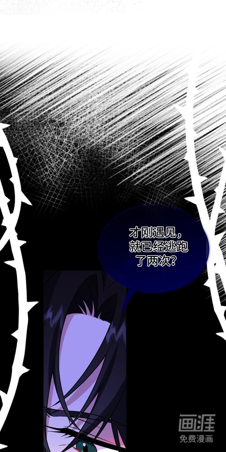 第11章：逃跑了