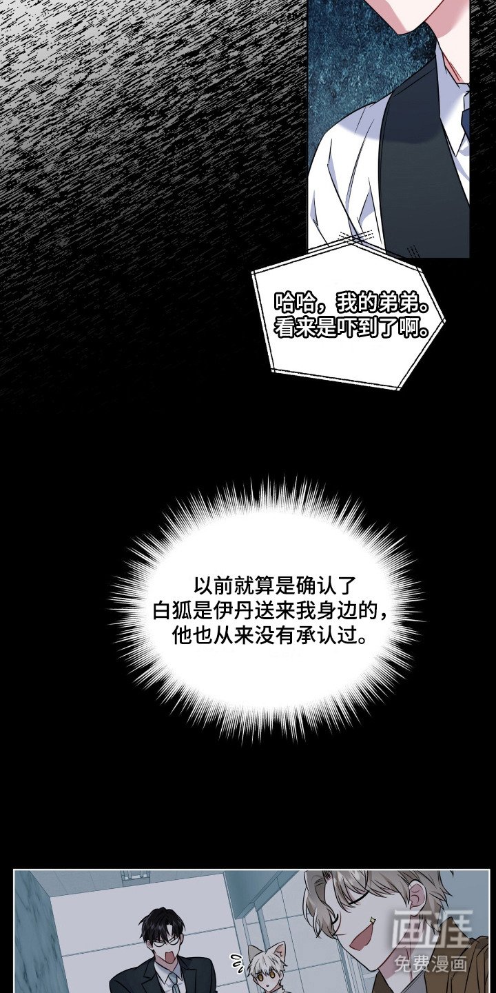 第13章：走一步看一步