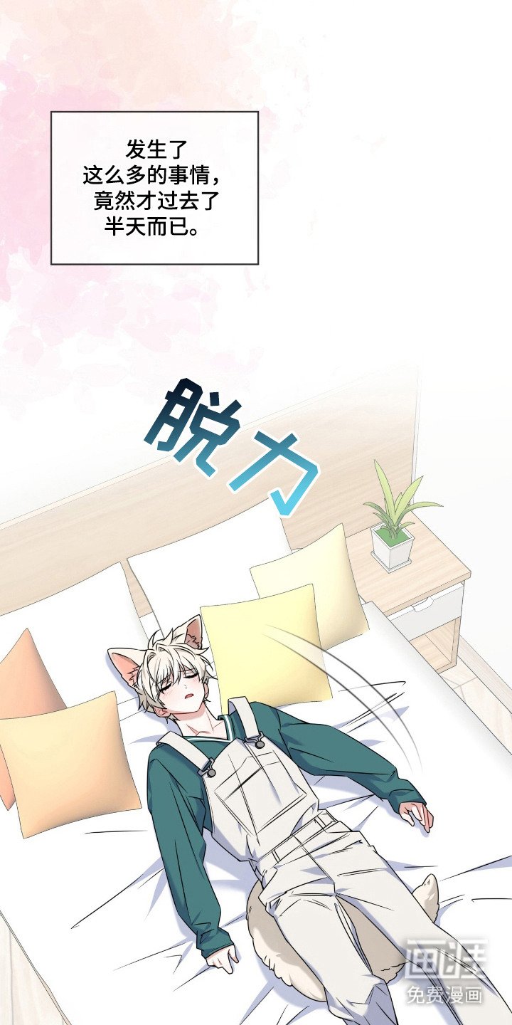 第13章：走一步看一步