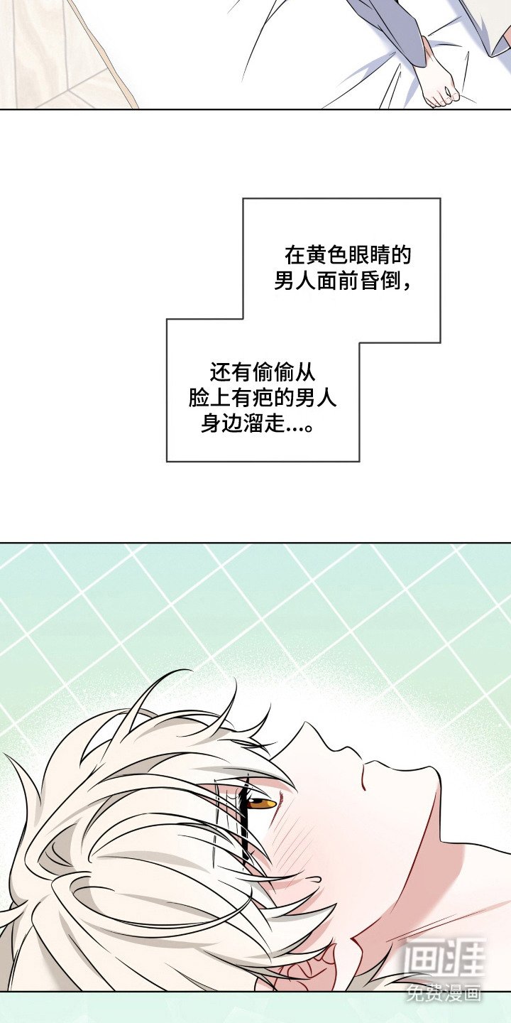 第13章：走一步看一步