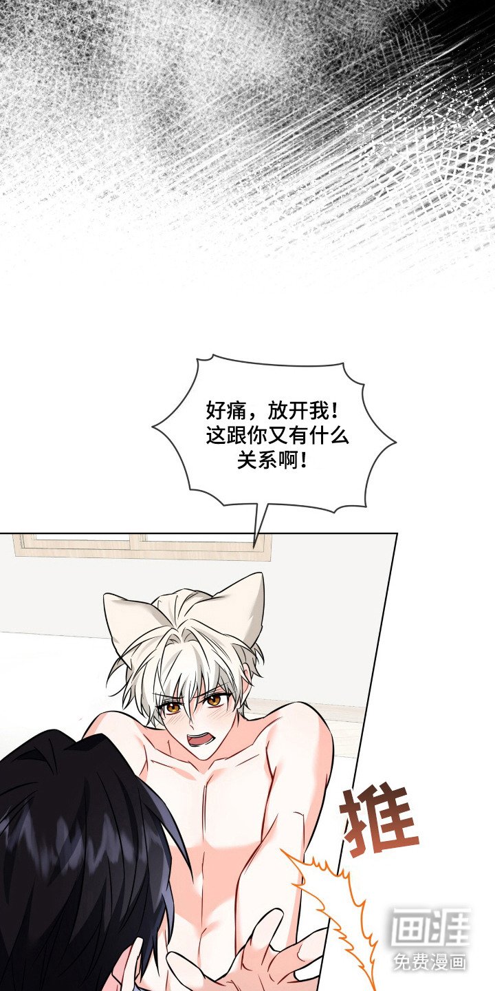 第16章：印象深刻