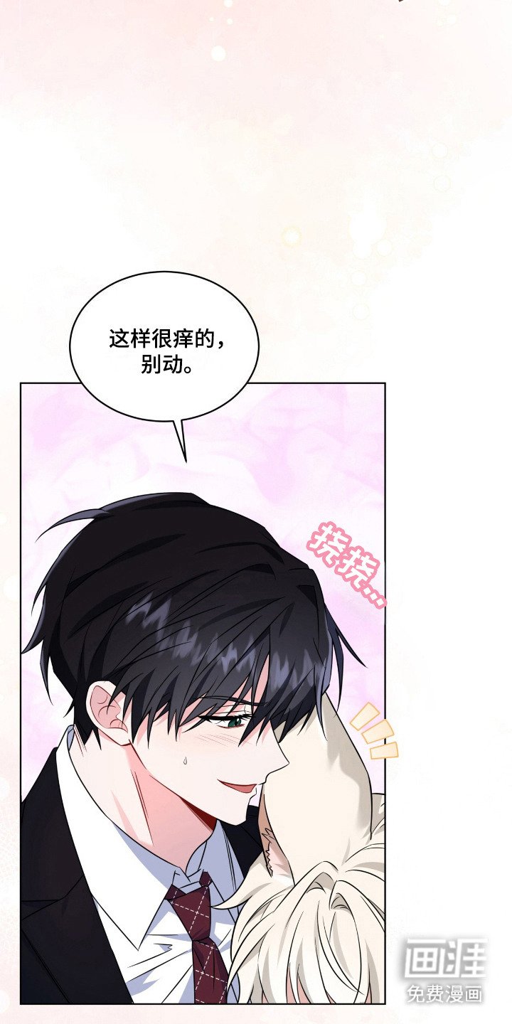 第17章：互相利用