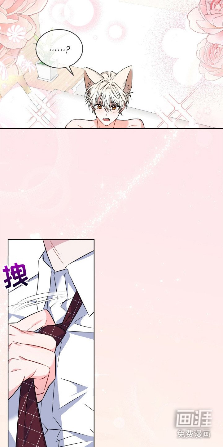 第17章：互相利用