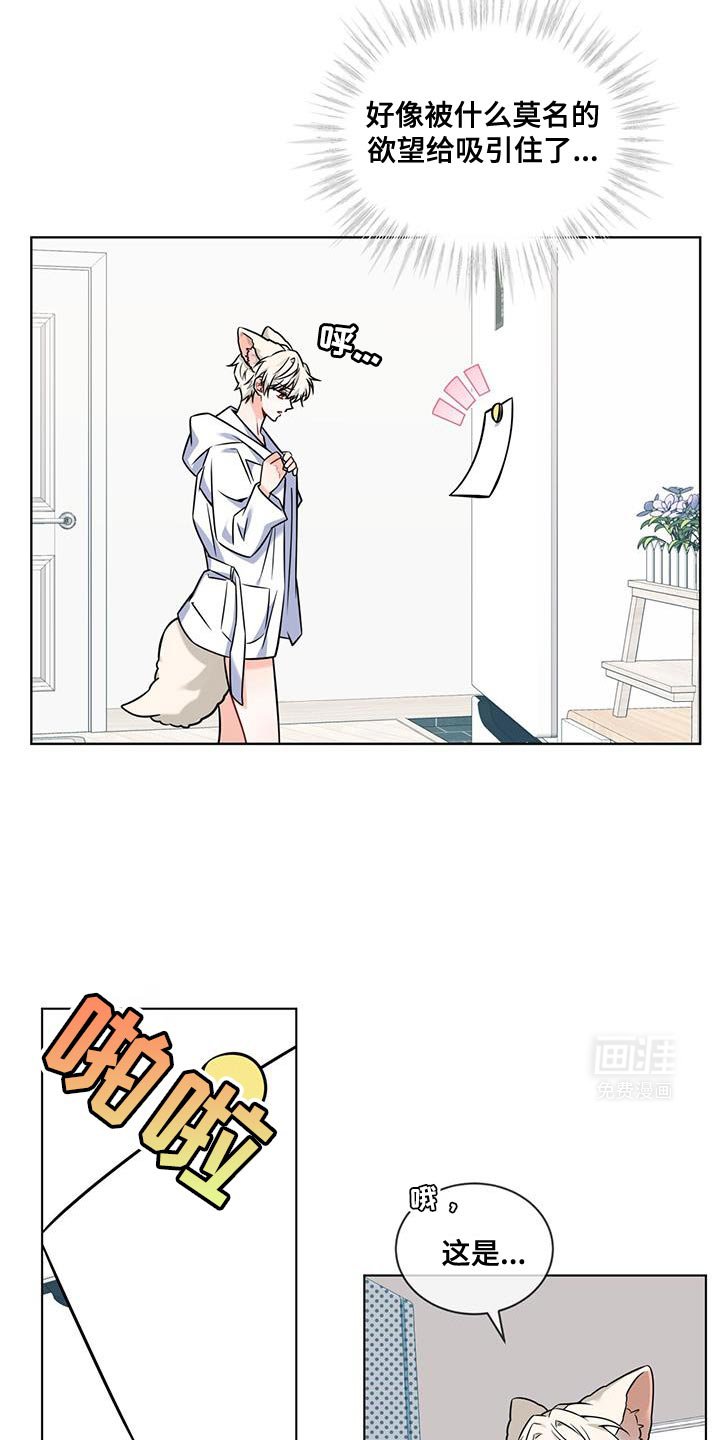 第18章：祝贺你