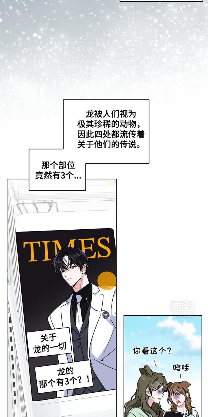 第19章：真的白狐
