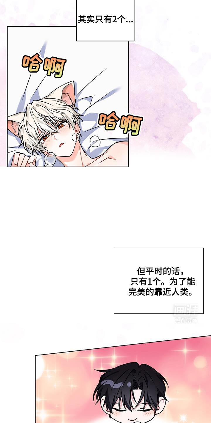 第19章：真的白狐