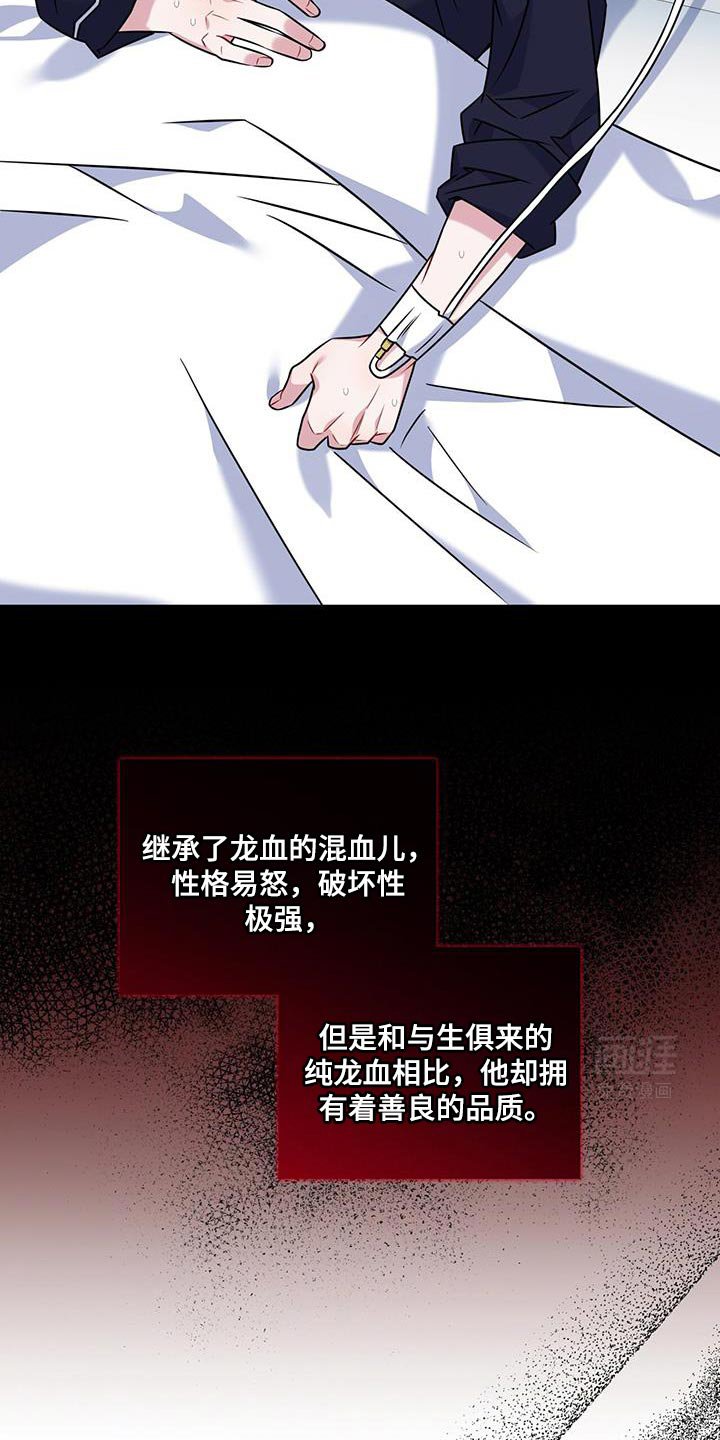 第19章：真的白狐