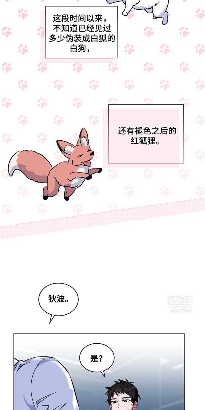 第19章：真的白狐
