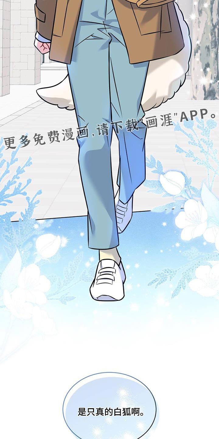 第19章：真的白狐