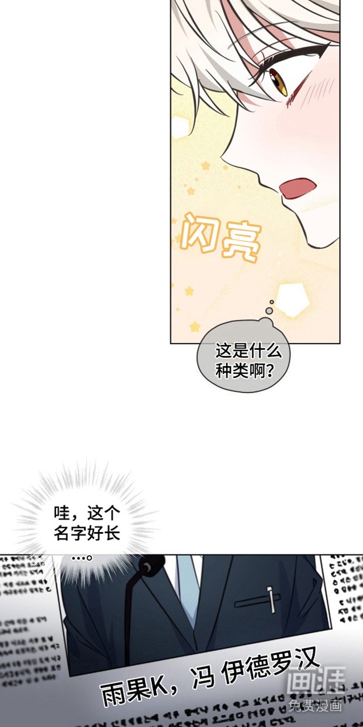第2章：出众之处